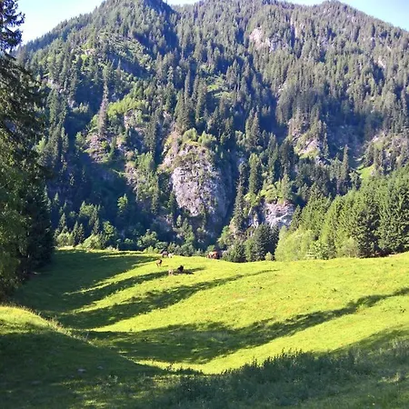 Stadt Wien Apartament *