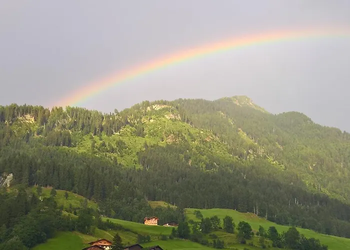 Stadt Wien Апартаменты